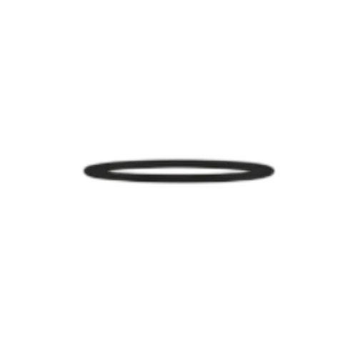 O Ring - Top Sub